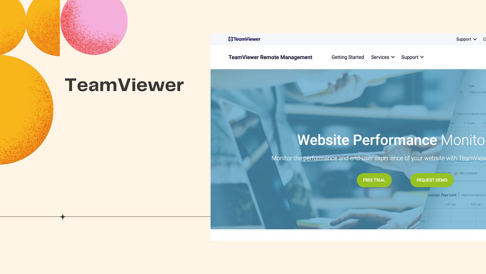 TeamViewer Best Website Monitoring Tools 